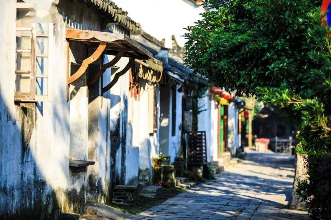 植物大战僵尸14